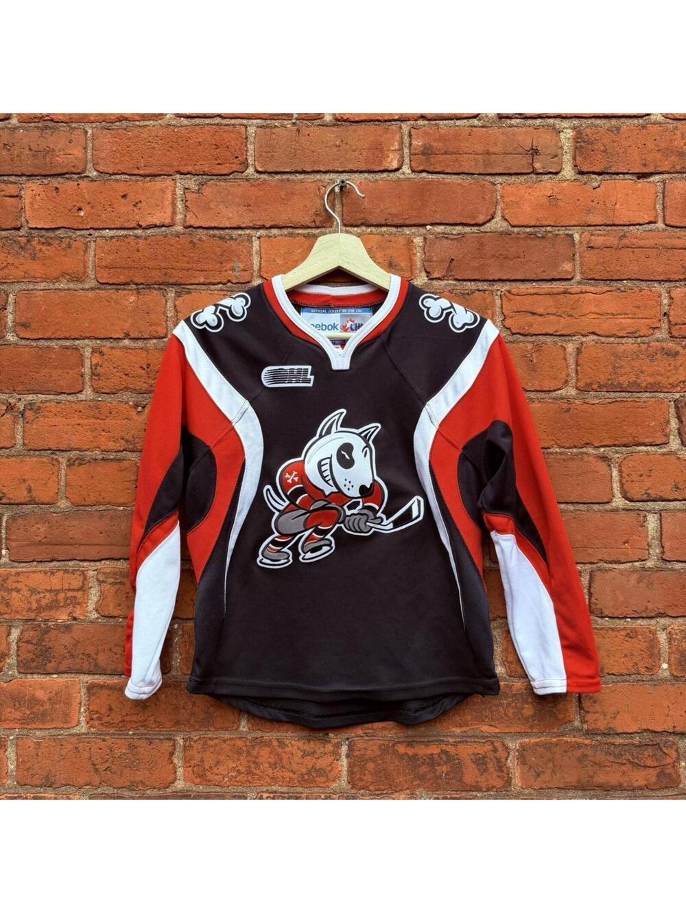 Vintage Niagara ice dogs jersey youth small/medium
